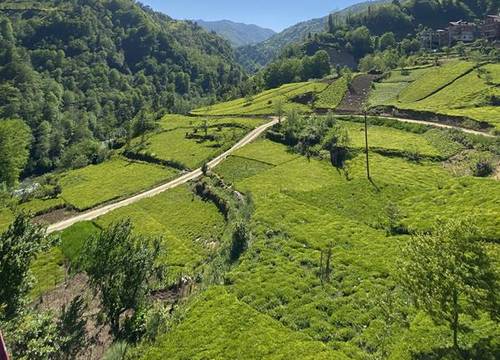 turkiye/rize/camlihemsin/hurvadi-bungalow_3466e736.jpg