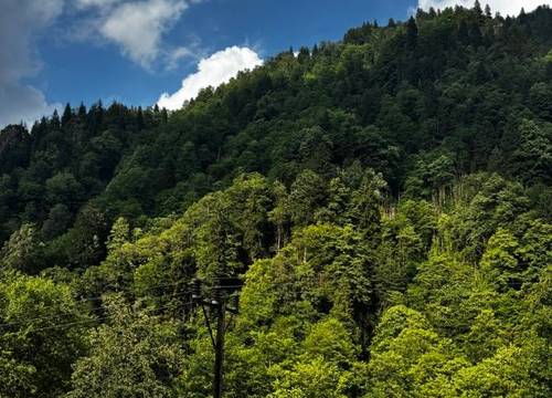 turkiye/rize/camlihemsin/kale-kaya-otel_88c0f2a8.jpg