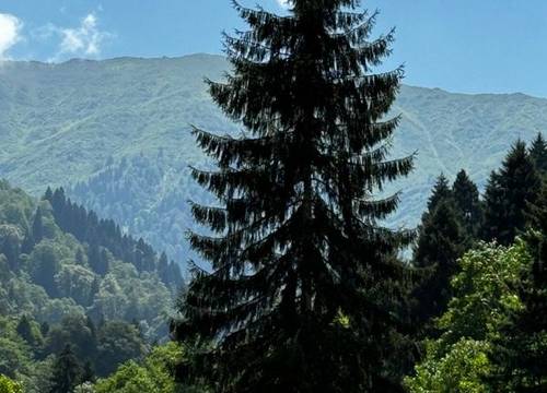 turkiye/rize/camlihemsin/kale-kaya-otel_c4214b98.jpg
