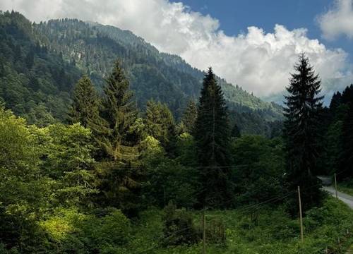 turkiye/rize/camlihemsin/kale-kaya-otel_e81f56e1.jpg