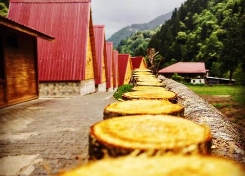 turkiye/rize/camlihemsin/kotit-ayder-bungalov-restaurant-a3c5225a.jpg