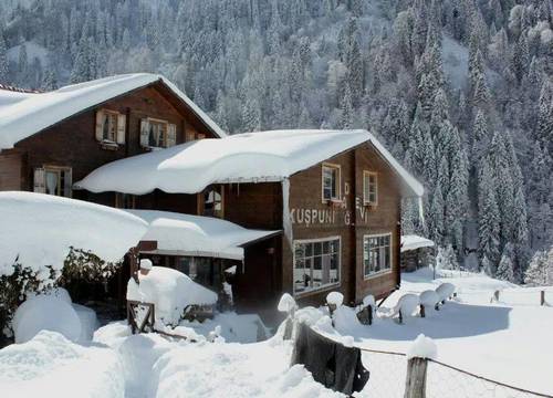 turkiye/rize/camlihemsin/kuspuni-dag-evi_6441d77b.jpg