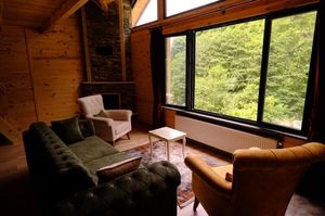 turkiye/rize/camlihemsin/levut-dag-evi_dd047ef9.jpg