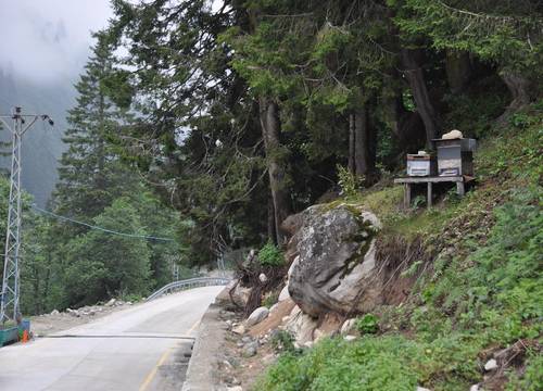 turkiye/rize/camlihemsin/lorant-dag-evi_010ab2cf.jpg
