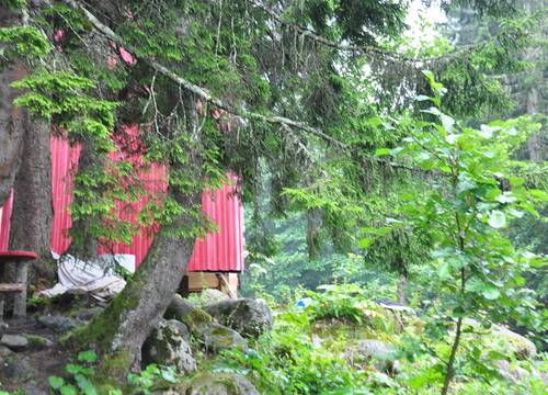 turkiye/rize/camlihemsin/lorant-dag-evi_db018a70.jpg