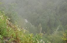 turkiye/rize/camlihemsin/merzevilla_1400fccf.jpg