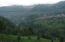 turkiye/rize/camlihemsin/merzevilla_9db9f418.jpg
