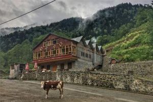 turkiye/rize/camlihemsin/meydan-simsir-bungalov_73a6815b.png