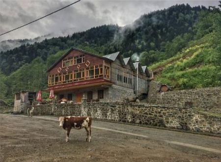 turkiye/rize/camlihemsin/meydan-simsir-bungalov_73a6815b.png