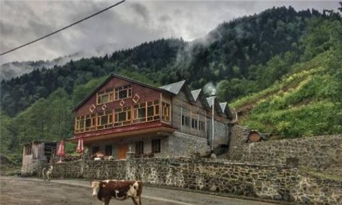 turkiye/rize/camlihemsin/meydan-simsir-bungalov_73a6815b.png