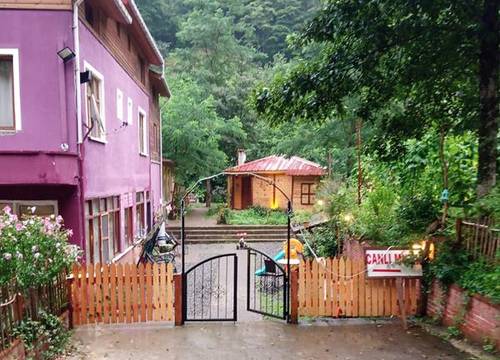 turkiye/rize/camlihemsin/mjora-boutique-otel_8a134c05.jpg