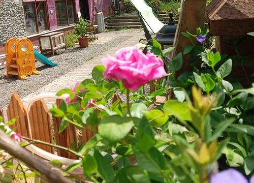 turkiye/rize/camlihemsin/mjora-boutique-otel_e915afb8.jpg