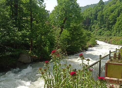 turkiye/rize/camlihemsin/mjora-bungalow-ayder_54c10bf5.jpg