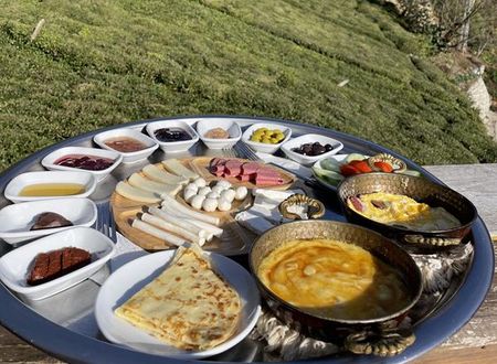 turkiye/rize/camlihemsin/otani-dag-evleri_dd030c9d.jpg