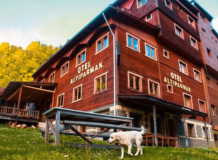 turkiye/rize/camlihemsin/otel-altiparmak_f572e553.jpg