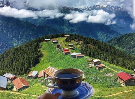 turkiye/rize/camlihemsin/pokut-inn-doga-evi_4f27211f.jpg