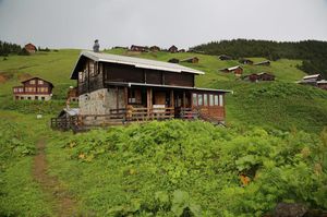 turkiye/rize/camlihemsin/pokut-yaylaevi_0548da90.jpg