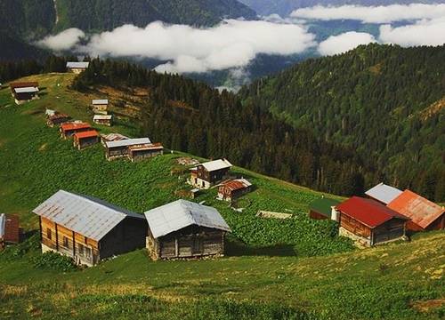 turkiye/rize/camlihemsin/pokut-yaylaevi_f1458300.jpg