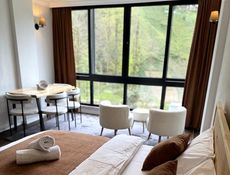 Ponte Butik Otel (Standart Oda - No 103)