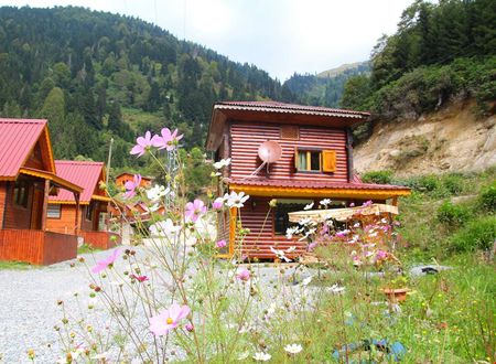 turkiye/rize/camlihemsin/selale-dag-evleri_0b4cd92d.jpeg