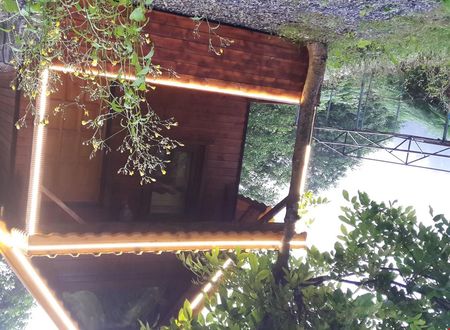 turkiye/rize/camlihemsin/selale-dag-evleri_a9c87715.jpeg