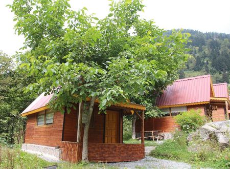 turkiye/rize/camlihemsin/selale-dag-evleri_bb3e1d6f.jpeg