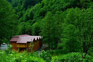 turkiye/rize/camlihemsin/sumda-otel-restoran_1c8fc2c1.jpg