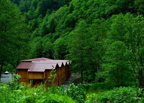 turkiye/rize/camlihemsin/sumda-otel-restoran_1c8fc2c1.jpg