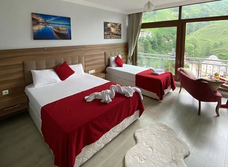 turkiye/rize/camlihemsin/vadidekal-suit-otel_e4d0106f.jpg