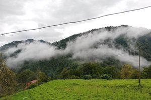 turkiye/rize/camlihemsin/viceminiotel_f15b0516.jpg