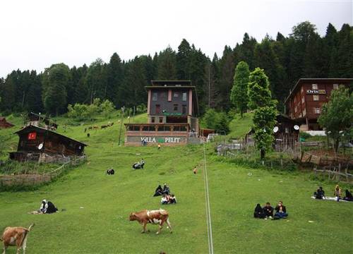 turkiye/rize/camlihemsin/villa-de-pelit-otel-1554143726.JPG