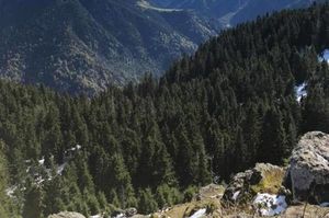 turkiye/rize/camlihemsin/yessi-bungalov-0c7daf79.jpg