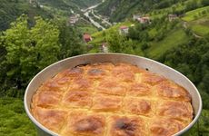 turkiye/rize/camlihemsin/zifona-bungalov-otel_9b073d23.jpg