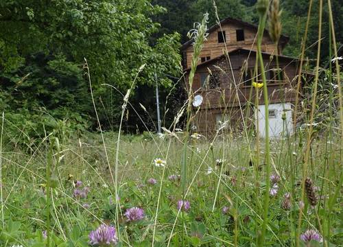 turkiye/rize/camlihemsin/zilkale-hotel-koy-evi_ea08d81a.jpg