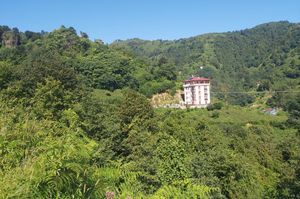 turkiye/rize/cayeli/20220911_1001394d391a5020ec43878a63ee2a1def0666.jpg