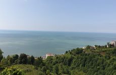 turkiye/rize/cayeli/33d99ad96bdf4622ac499e96bed0183aa1ab3317830d48e8ac16d11f1be5d330.jpg
