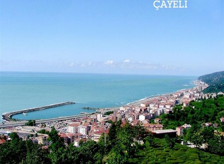 turkiye/rize/cayeli/kent-apart-4da5f9b2.jpg