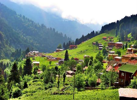turkiye/rize/cayeli/kent-apart-54693f95.jpg