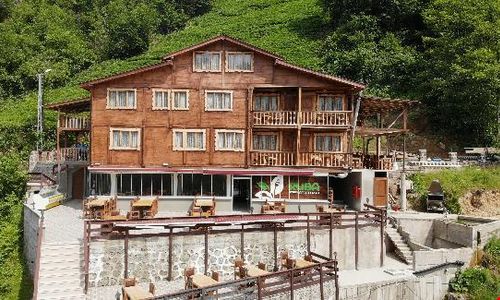 turkiye/rize/findikli/ruba-restaurant-pansiyon_a682684f.jpg