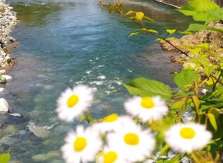 turkiye/rize/findikli/rubasi-otel-findikli_a937bbfe.jpg