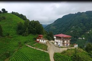 turkiye/rize/guneysu/guneysu-konagi_0c6b5b15.jpg