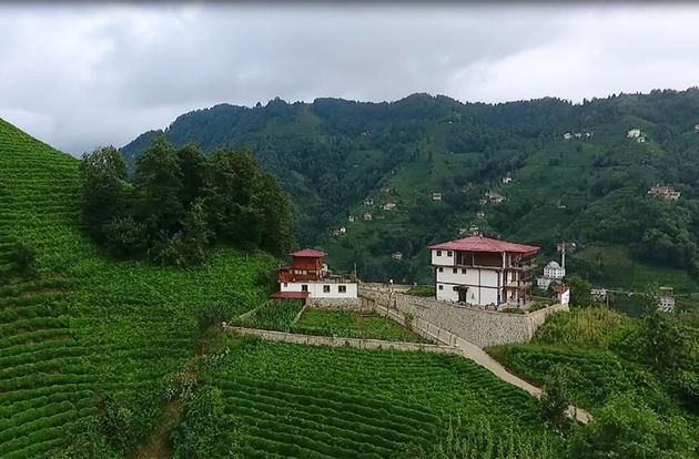 turkiye/rize/guneysu/guneysu-konagi_3017df82.jpg