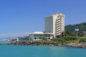 turkiye/rize/merkez/dedeman-rize-hotel-456441.jpg