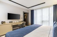 Standard Room - Mountain View