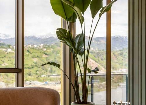 turkiye/rize/pazar/rossi-luxury-hotel_a8170786.jpg