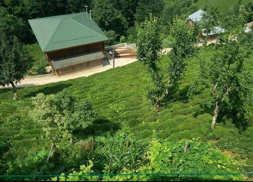 turkiye/rize/pazar/story-house_1373877b.png