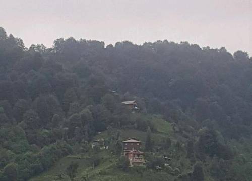 turkiye/rize/pazar/story-house_41131955.png