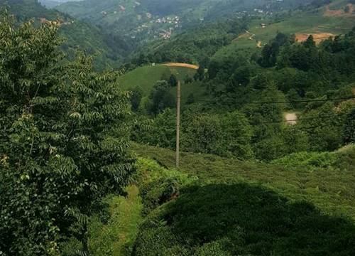 turkiye/rize/pazar/story-house_c5c531fa.png