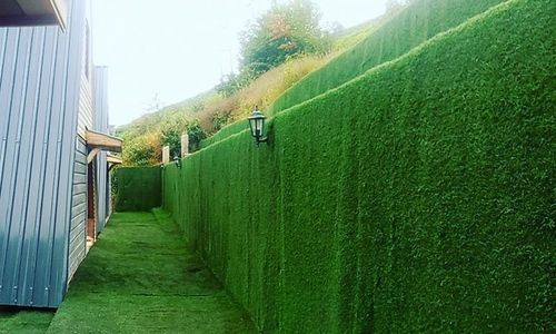 turkiye/rize/rize-merkez/bungolaz-bungalov-otel_defbccc2.jpg