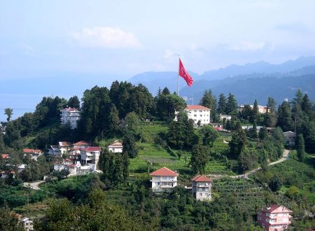 turkiye/rize/rize-merkez/newarise-hotel_16bb7794.jpg